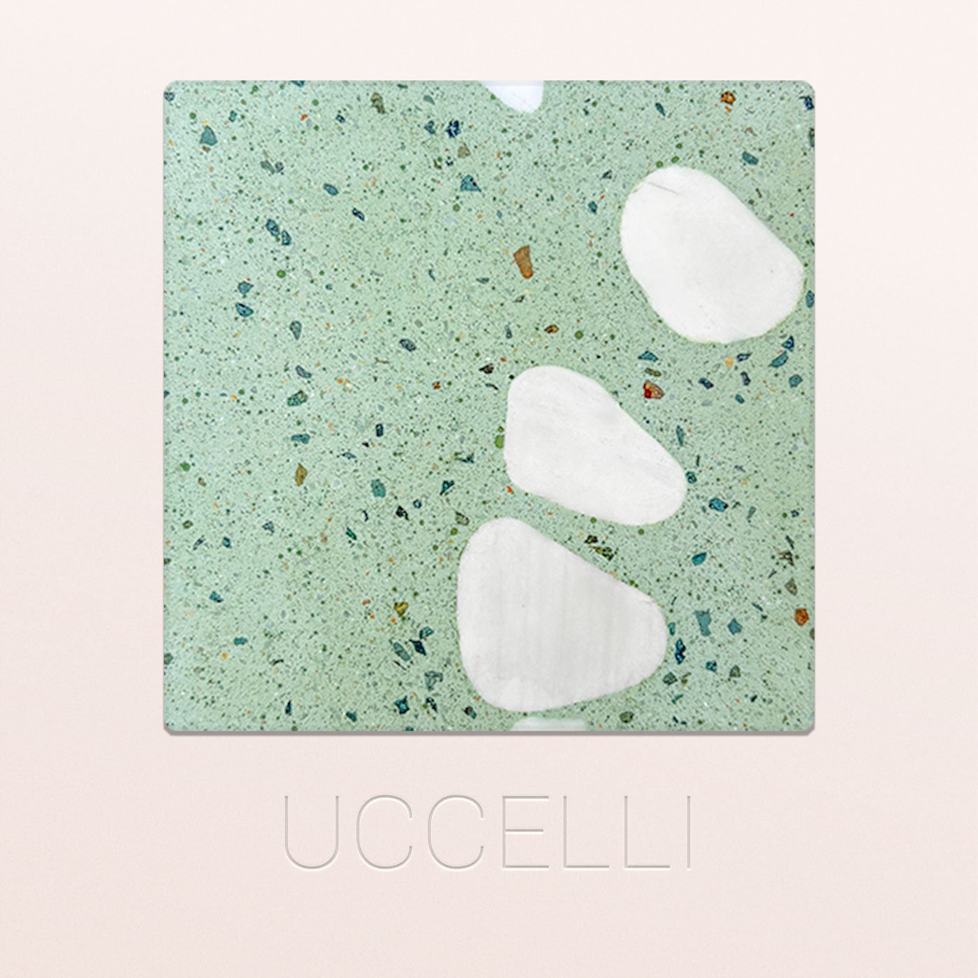Uccelli